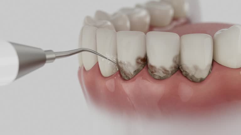 Reliable Dental contractor in Orchard Hills, PA by Dentist Open Now